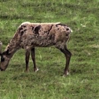 Screen Shot 2016-07-14 at 9.18.54 PM.jpg